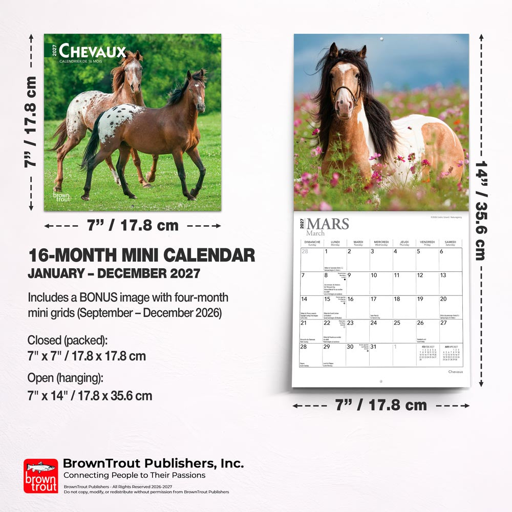Chevaux | 2027 7 x 14 Inch (Hanging) Monthly Mini Wall Calendar | French Language