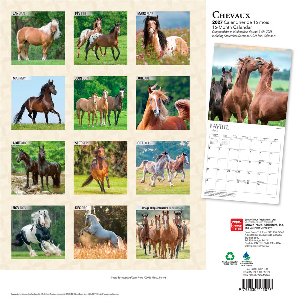 Chevaux | 2027 12 x 24 Inch (Hanging) Monthly Square Wall Calendar | French Language