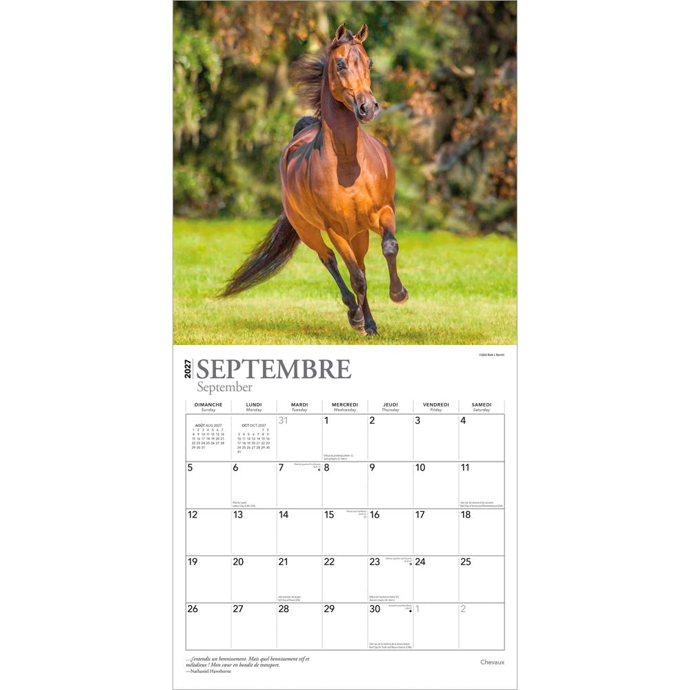 Chevaux | 2027 12 x 24 Inch (Hanging) Monthly Square Wall Calendar | French Language