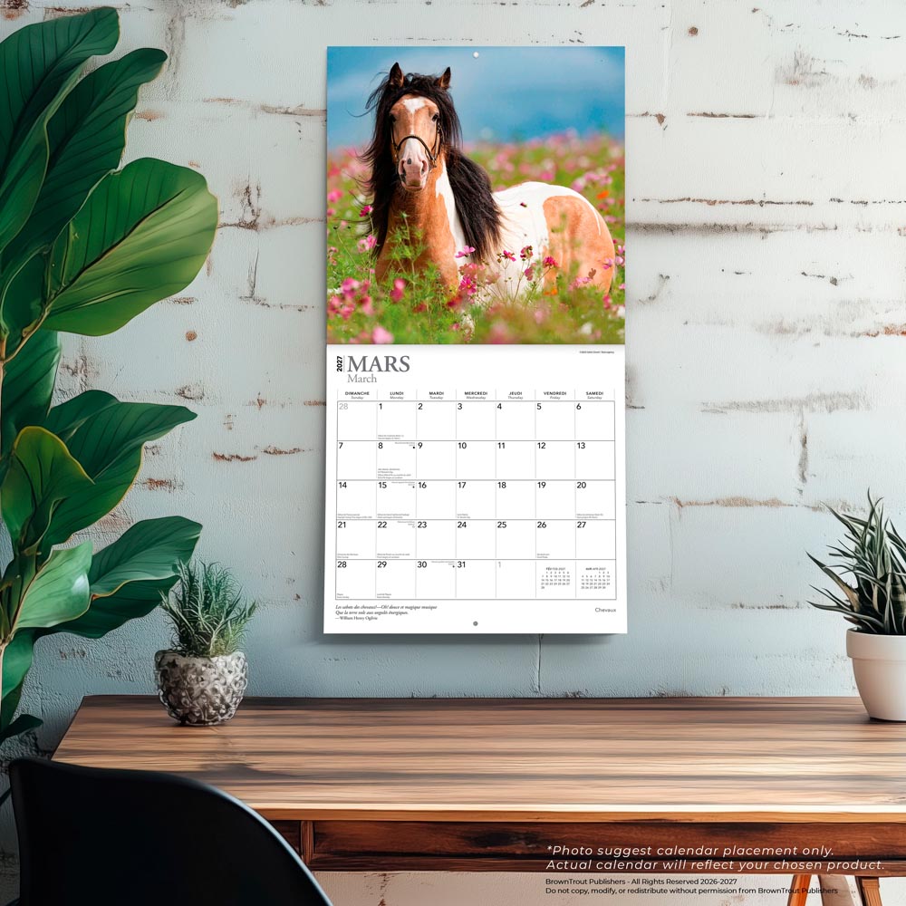 Chevaux | 2027 12 x 24 Inch (Hanging) Monthly Square Wall Calendar | French Language