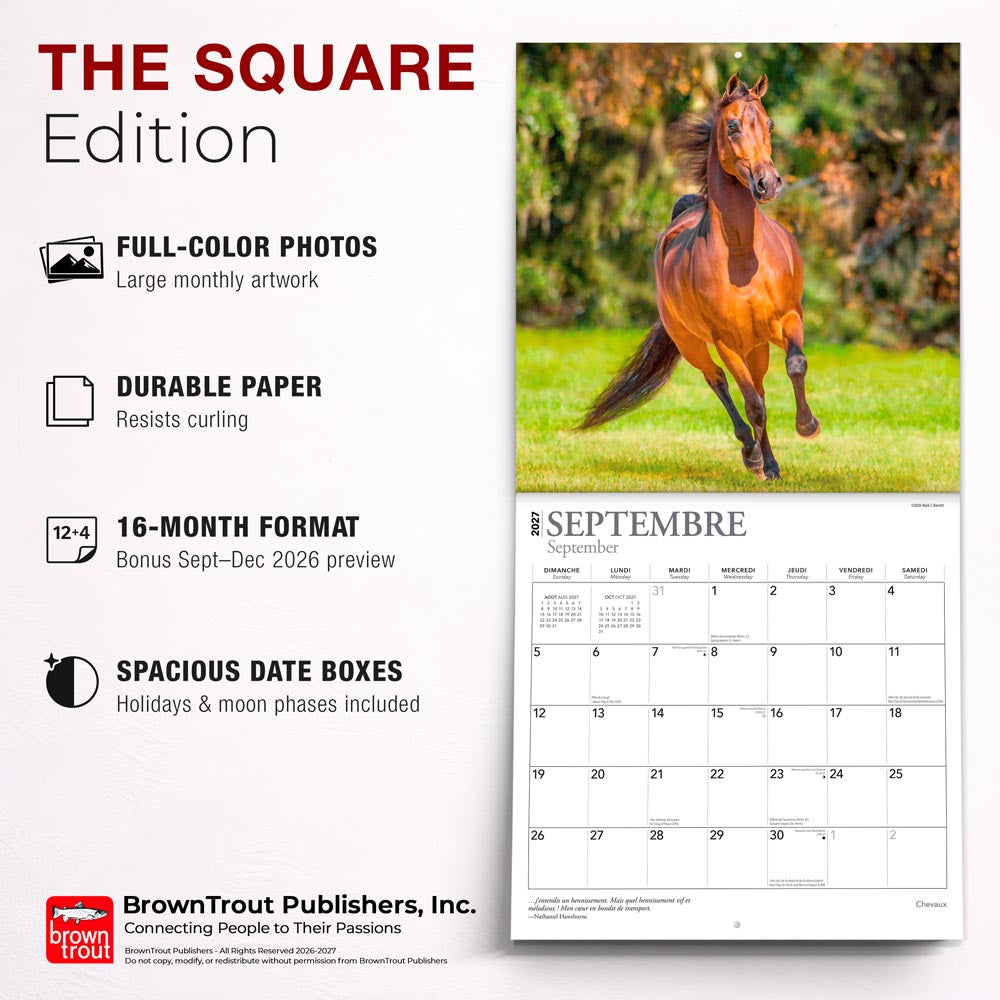 Chevaux | 2027 12 x 24 Inch (Hanging) Monthly Square Wall Calendar | French Language