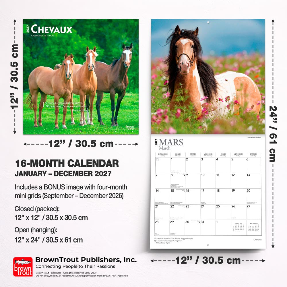 Chevaux | 2027 12 x 24 Inch (Hanging) Monthly Square Wall Calendar | French Language