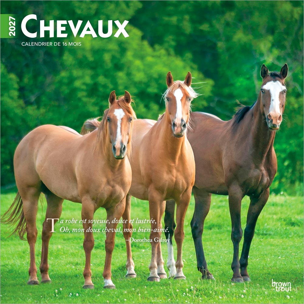 Chevaux | 2027 12 x 24 Inch (Hanging) Monthly Square Wall Calendar | French Language