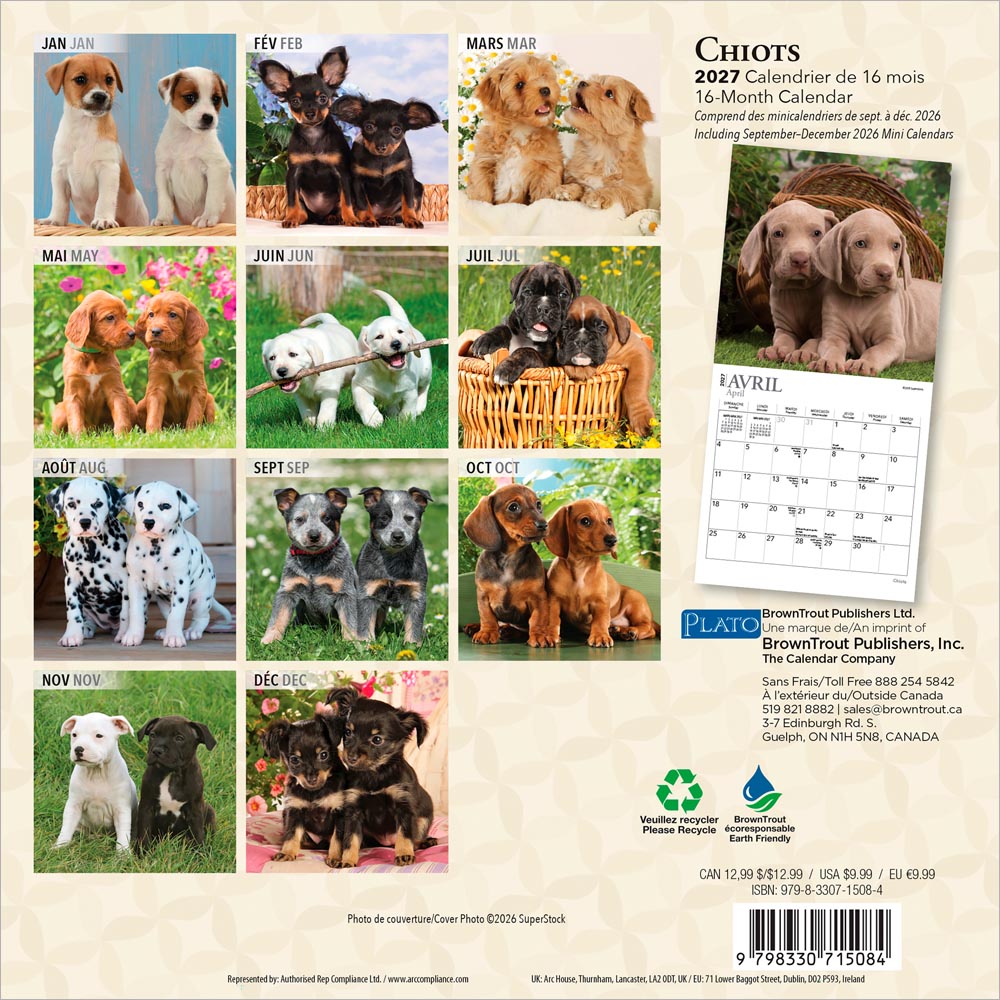 Chiots | 2027 7 x 14 Inch (Hanging) Monthly Mini Wall Calendar | French Language