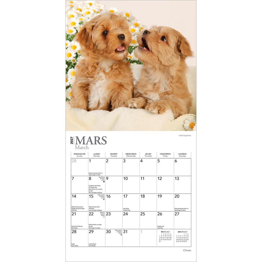 Chiots | 2027 7 x 14 Inch (Hanging) Monthly Mini Wall Calendar | French Language