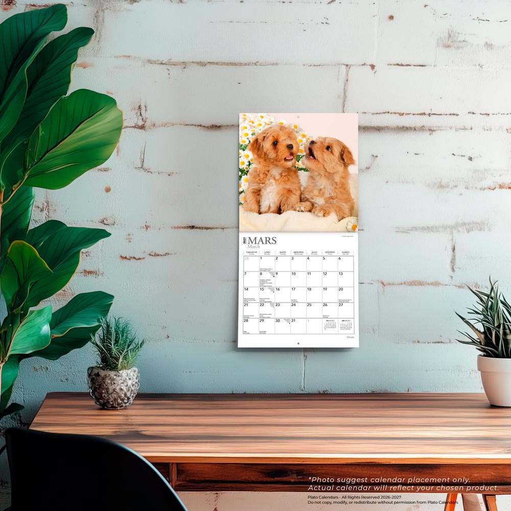 Chiots | 2027 7 x 14 Inch (Hanging) Monthly Mini Wall Calendar | French Language