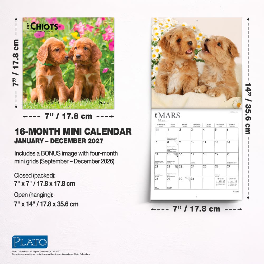 Chiots | 2027 7 x 14 Inch (Hanging) Monthly Mini Wall Calendar | French Language