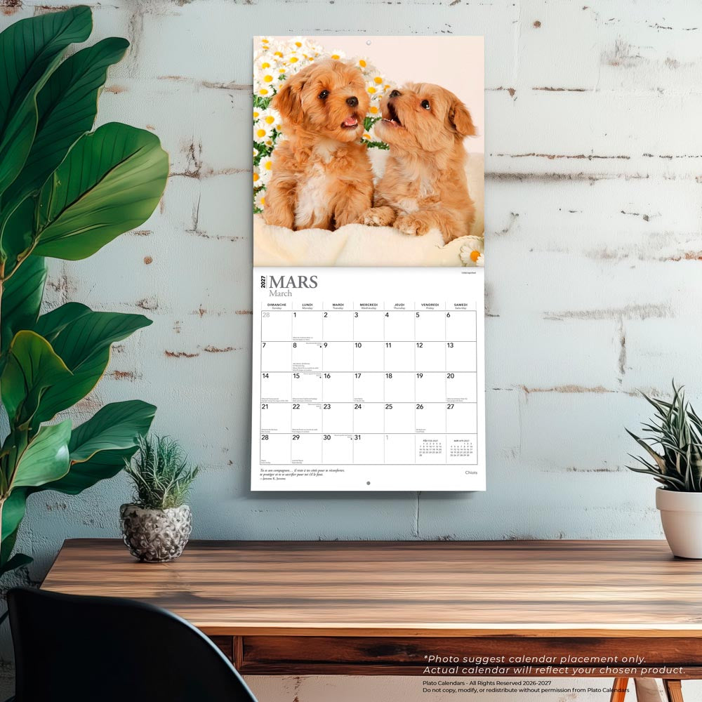 Chiots | 2027 12 x 24 Inch (Hanging) Monthly Square Wall Calendar | French Language