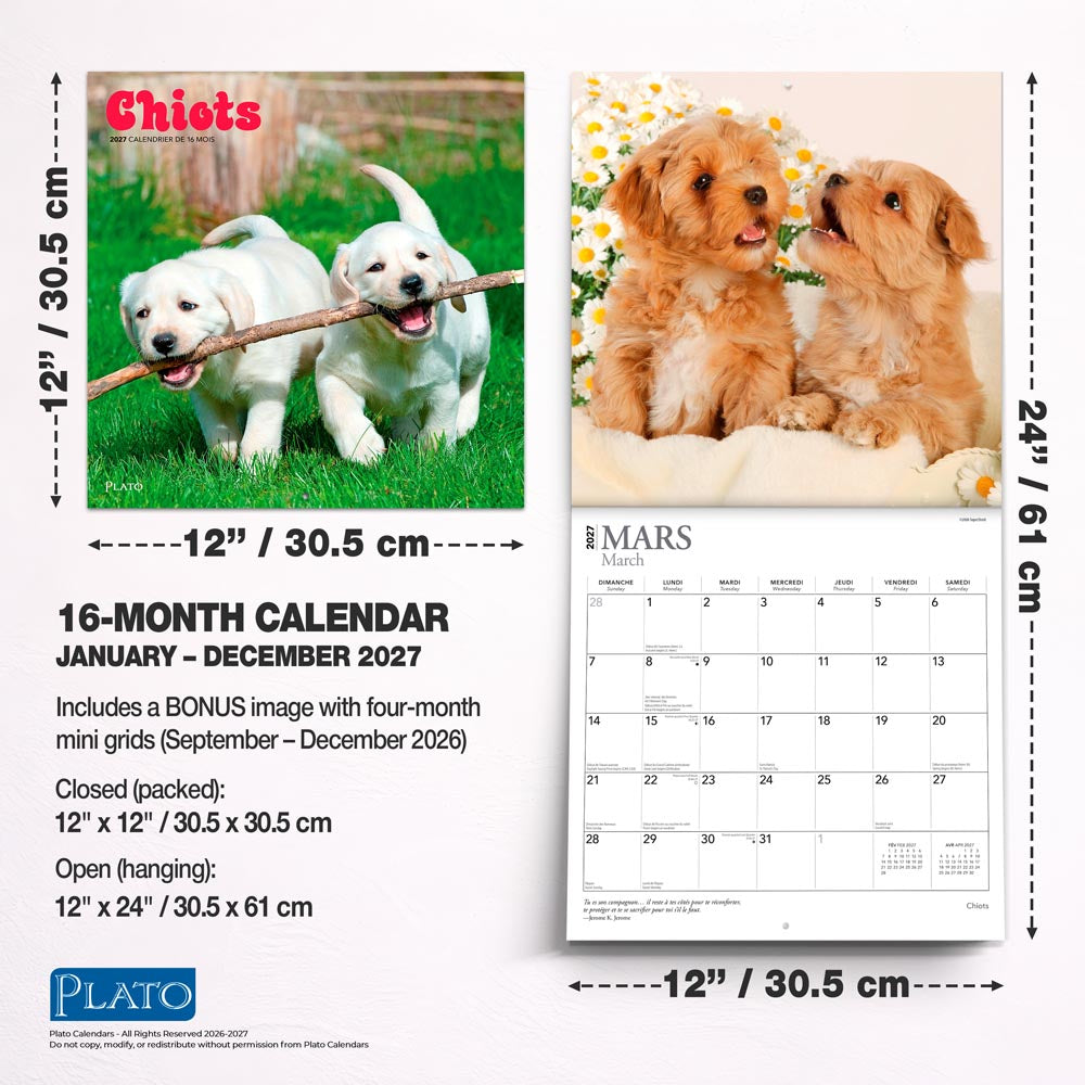 Chiots | 2027 12 x 24 Inch (Hanging) Monthly Square Wall Calendar | French Language