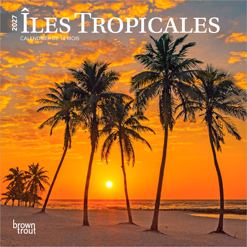 Îles Tropicales | 2027 7 x 14 Inch (Hanging) Monthly Mini Wall Calendar | French Language