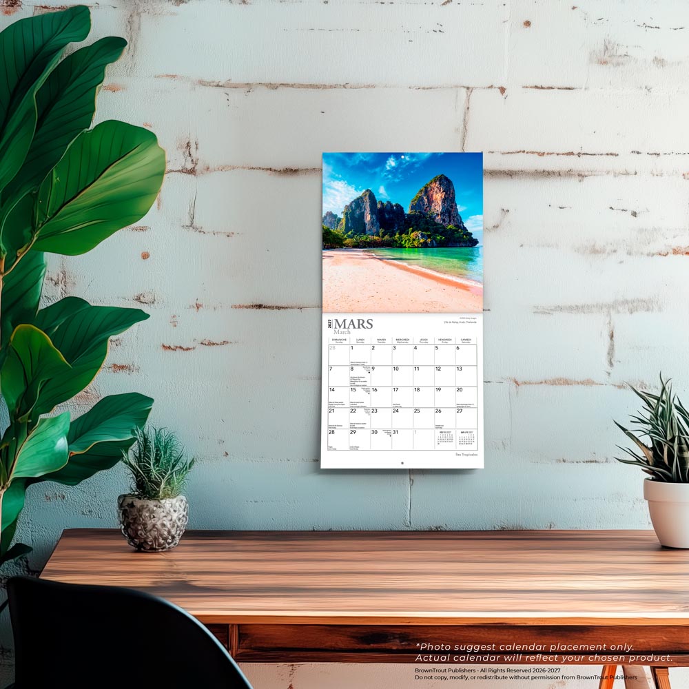 Îles Tropicales | 2027 7 x 14 Inch (Hanging) Monthly Mini Wall Calendar | French Language