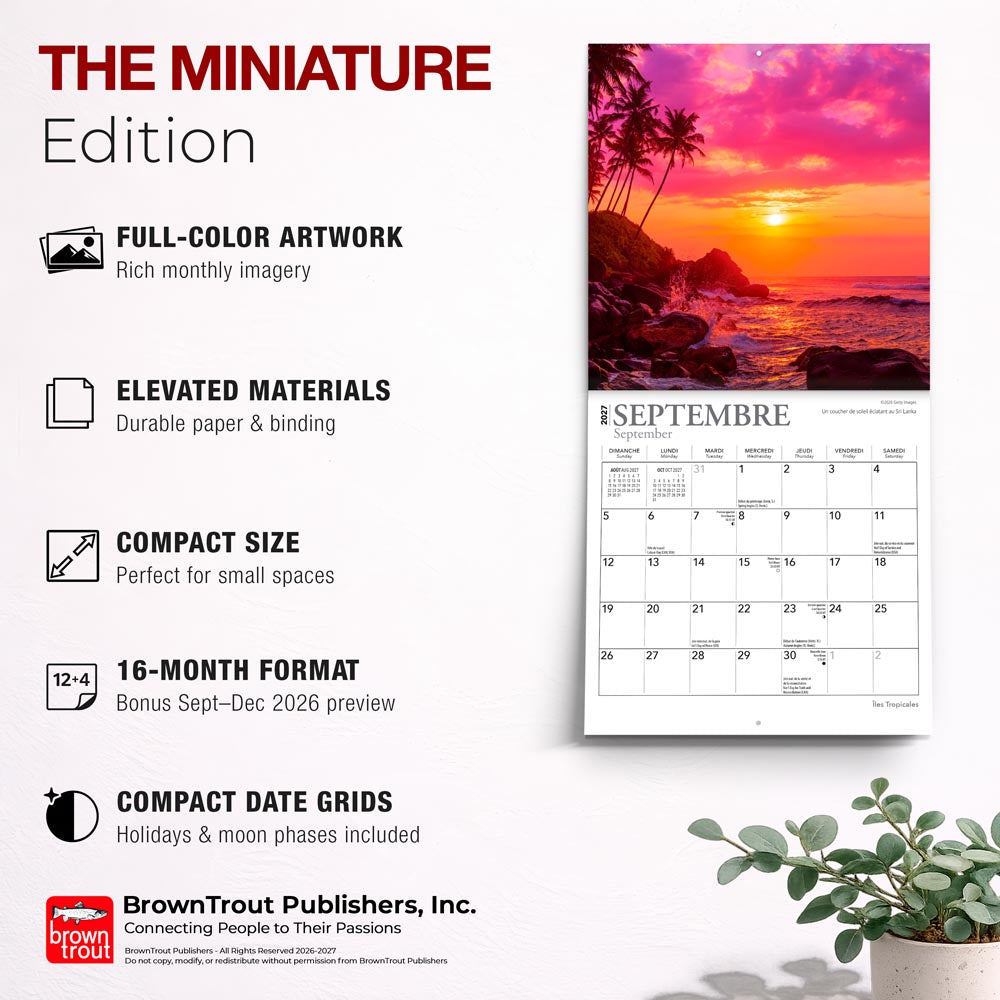 Îles Tropicales | 2027 7 x 14 Inch (Hanging) Monthly Mini Wall Calendar | French Language