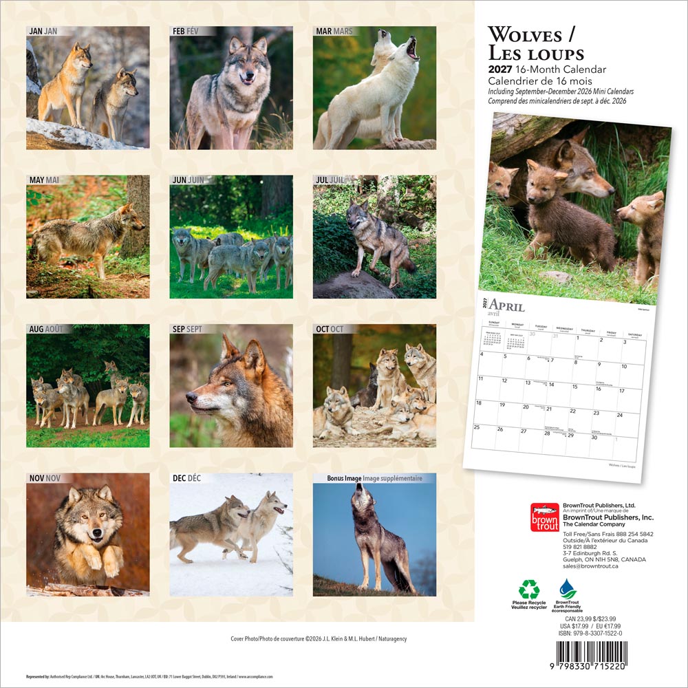 Wolves | 2027 12 x 24 Inch (Hanging) Monthly Square Wall Calendar | English/French Bilingual