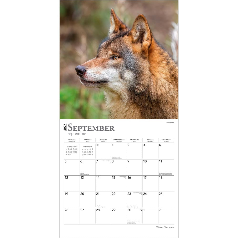 Wolves | 2027 12 x 24 Inch (Hanging) Monthly Square Wall Calendar | English/French Bilingual