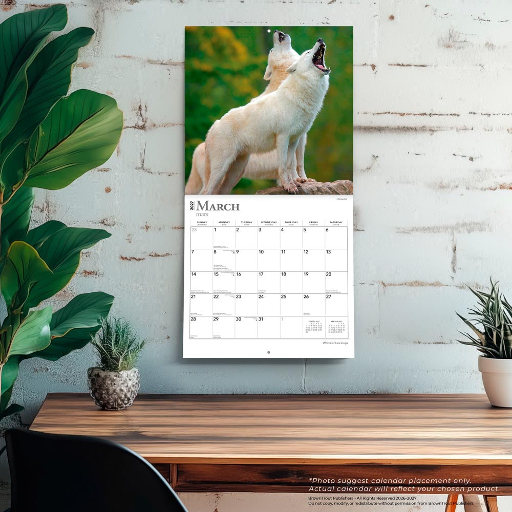 Wolves | 2027 12 x 24 Inch (Hanging) Monthly Square Wall Calendar | English/French Bilingual