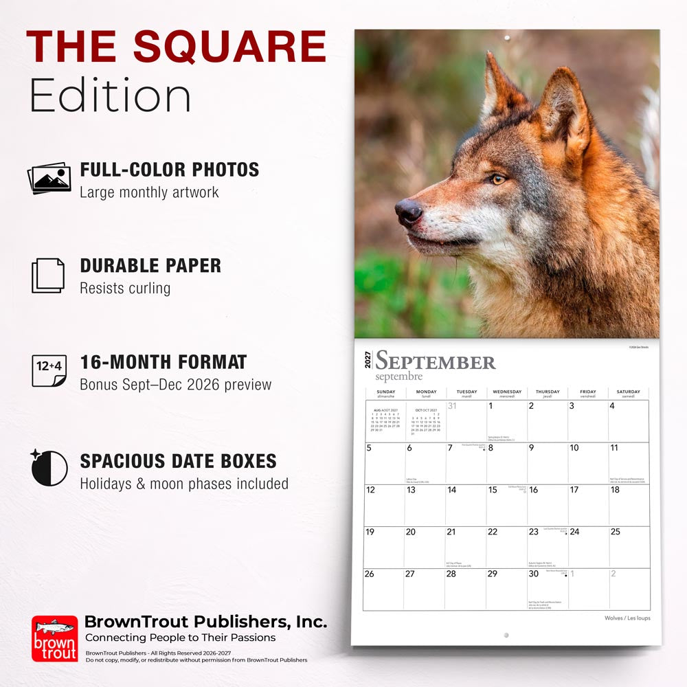 Wolves | 2027 12 x 24 Inch (Hanging) Monthly Square Wall Calendar | English/French Bilingual