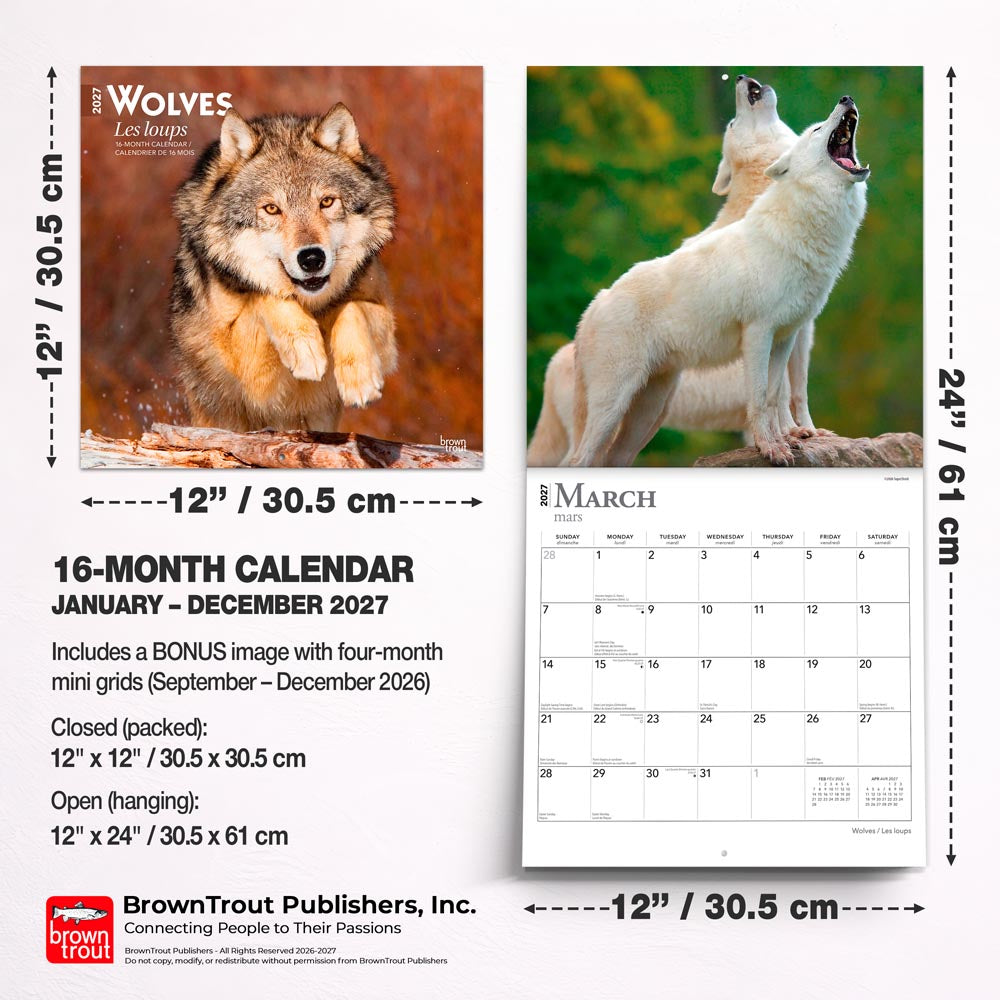 Wolves | 2027 12 x 24 Inch (Hanging) Monthly Square Wall Calendar | English/French Bilingual