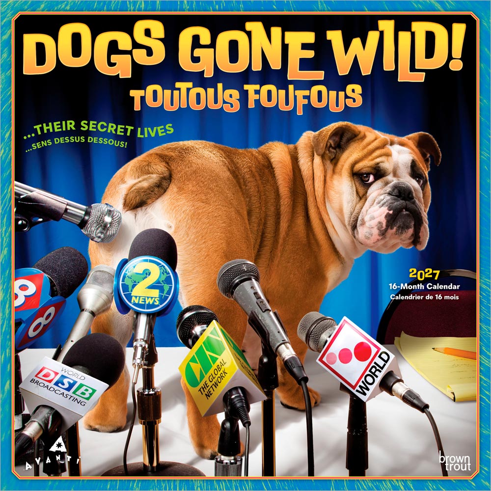 Avanti Dogs Gone Wild OFFICIAL | 2027 12 x 24 Inch (Hanging) Monthly Square Wall Calendar | English/French Bilingual