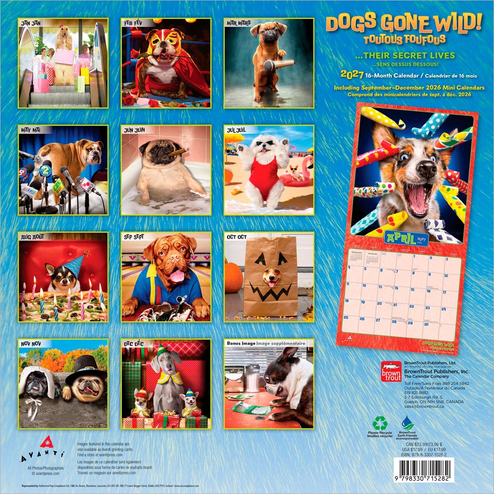 Avanti Dogs Gone Wild OFFICIAL | 2027 12 x 24 Inch (Hanging) Monthly Square Wall Calendar | English/French Bilingual