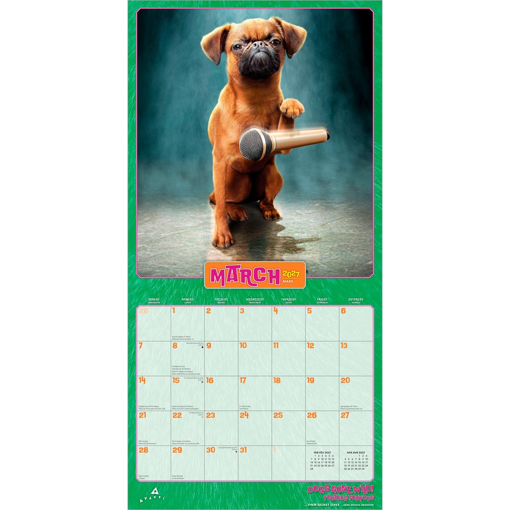 Avanti Dogs Gone Wild OFFICIAL | 2027 12 x 24 Inch (Hanging) Monthly Square Wall Calendar | English/French Bilingual
