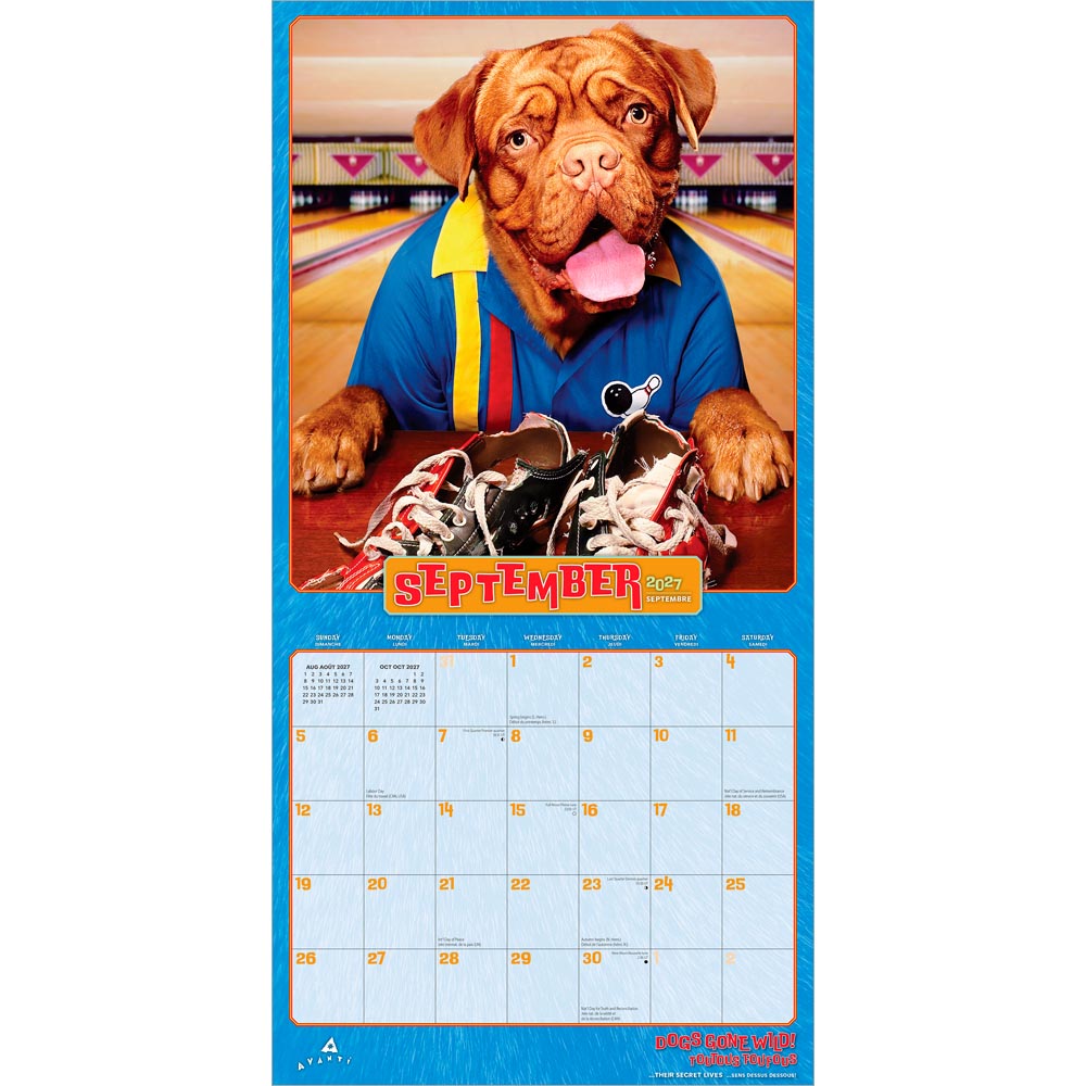 Avanti Dogs Gone Wild OFFICIAL | 2027 12 x 24 Inch (Hanging) Monthly Square Wall Calendar | English/French Bilingual