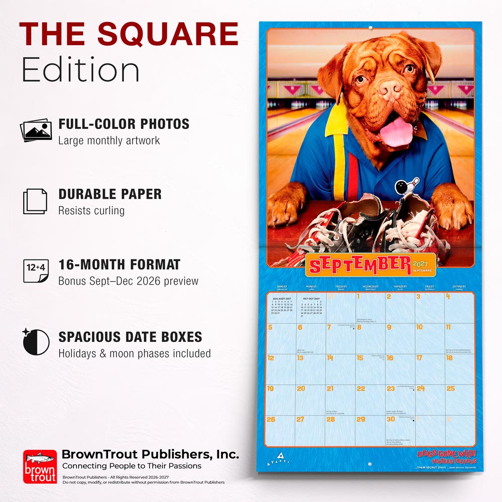 Avanti Dogs Gone Wild OFFICIAL | 2027 12 x 24 Inch (Hanging) Monthly Square Wall Calendar | English/French Bilingual