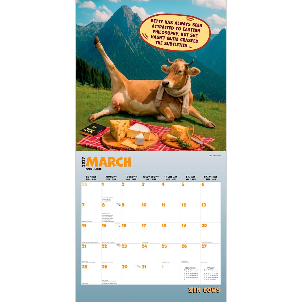 Zen Cows | 2027 12 x 24 Inch (Hanging) Monthly Square Wall Calendar
