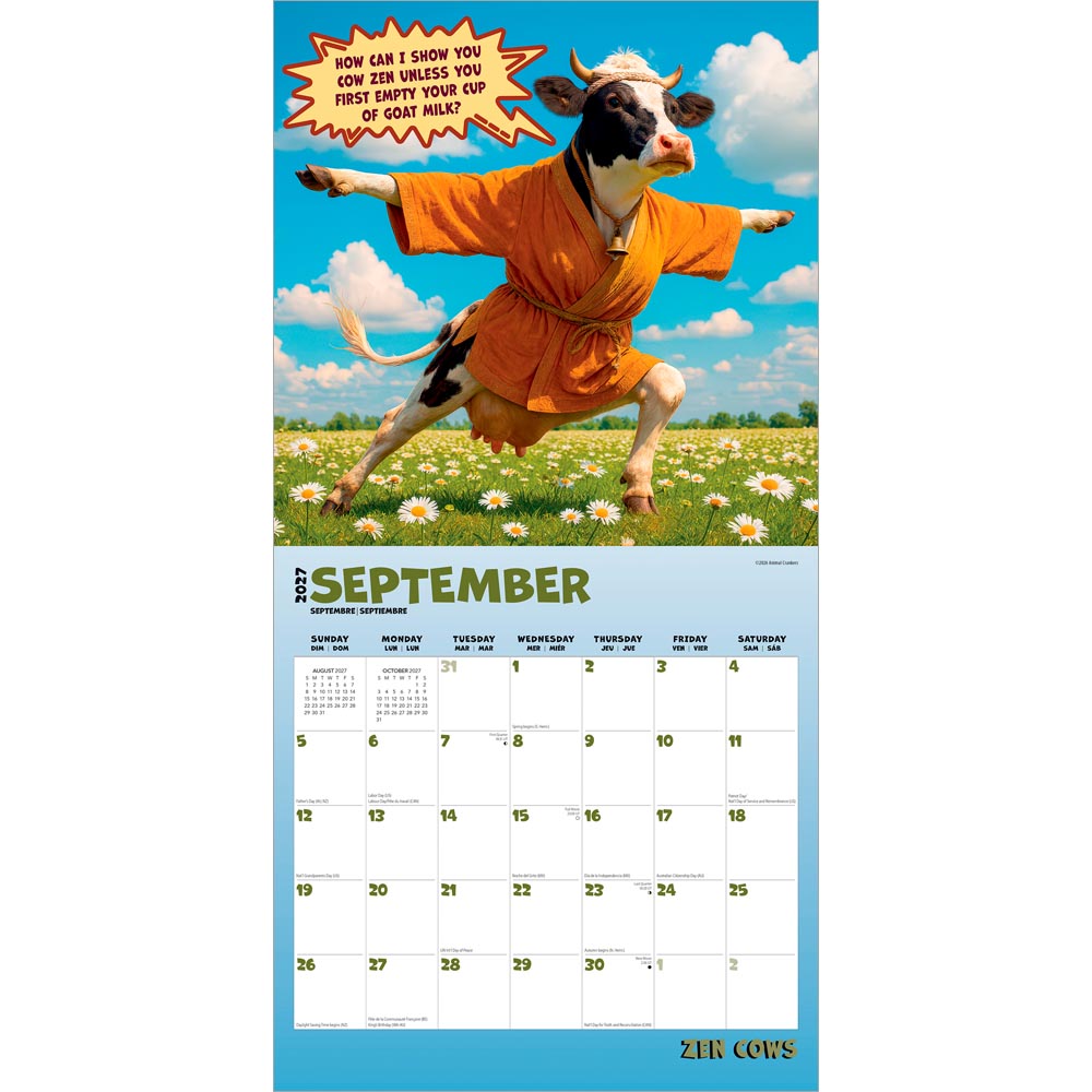 Zen Cows | 2027 12 x 24 Inch (Hanging) Monthly Square Wall Calendar