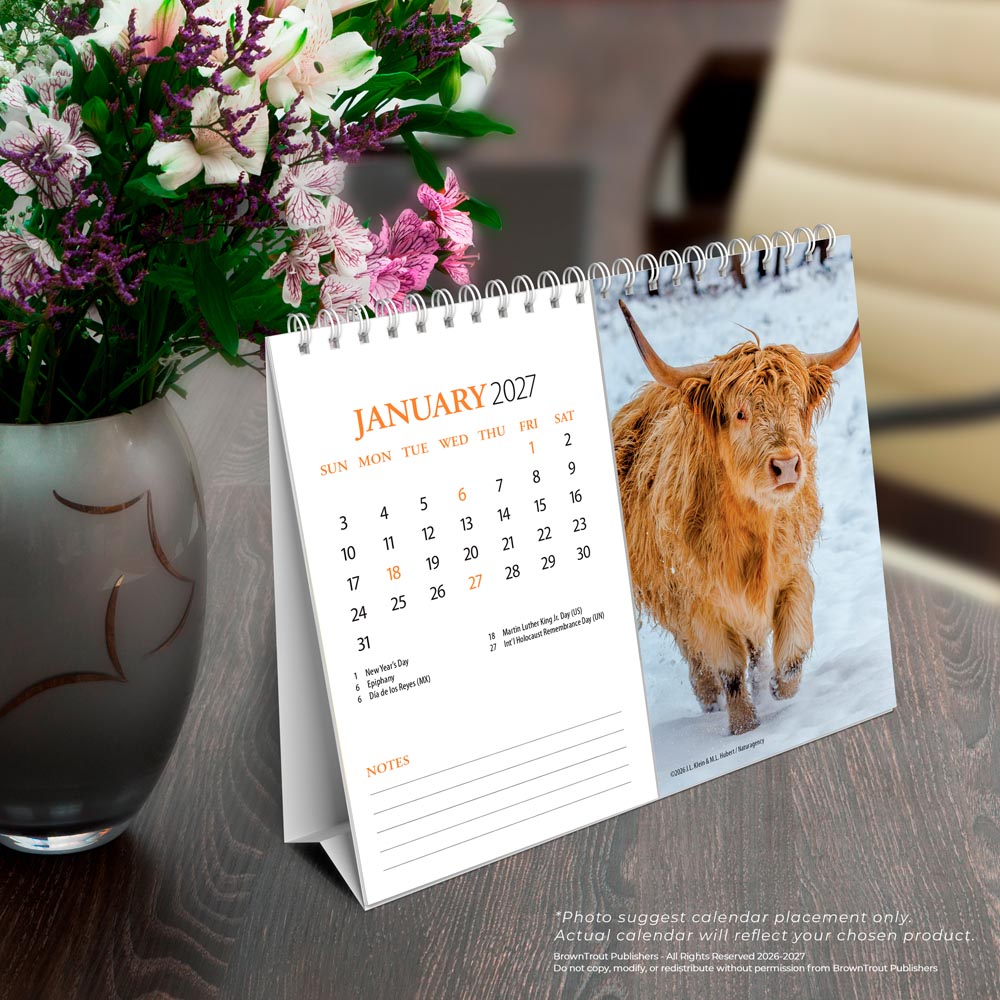 Highland Cows | 2027 7.5 x 6 Inch Monthly Double-View Easel Desk Calendar