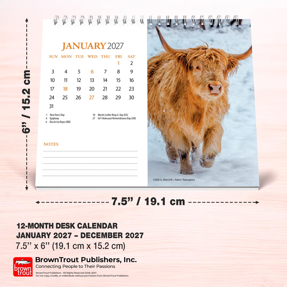 Highland Cows | 2027 7.5 x 6 Inch Monthly Double-View Easel Desk Calendar