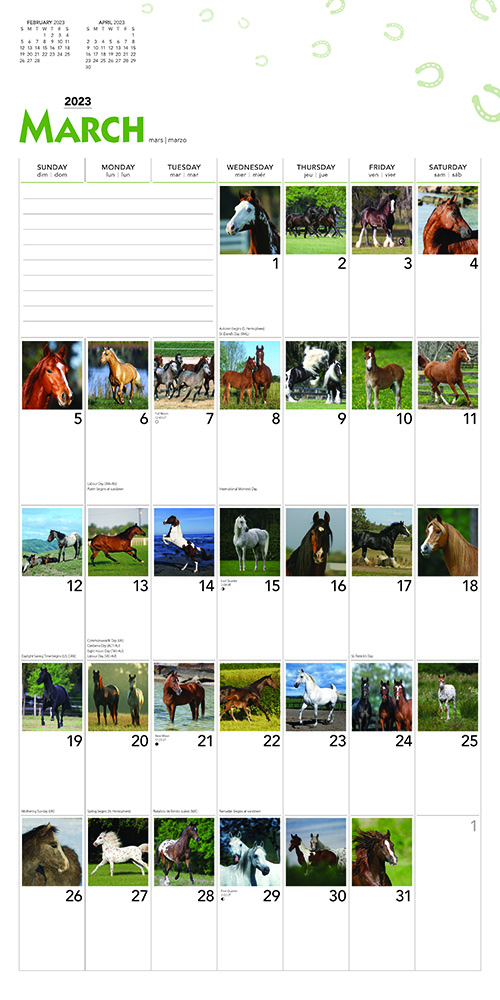 Bookie's  2023 365 Days of Horses Square Wall Calendar with Foil Stamped  Cover