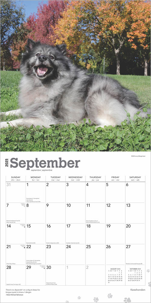 Keeshonden 2025 12 x 24 Inch Monthly Square Wall Calendar