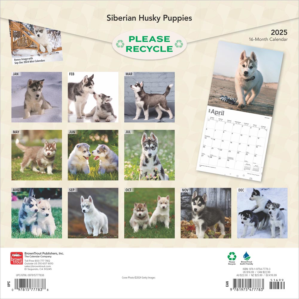 Siberian Husky Puppies 2025 12 x 24 Inch Monthly Square Wall Calendar