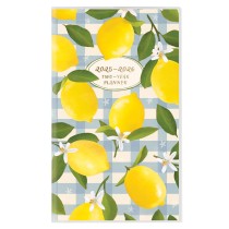 Oh so chic | 2025-2026 3.5 x 6.5 Inch Two Year Monthly Pocket Planner