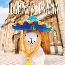 Llama with no Drama | 2025 12 x 24 Inch Monthly Square Wall Calendar